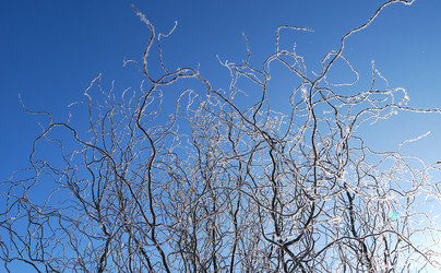 Similar image 21841735