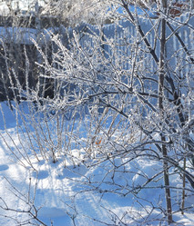 Similar image 21841737