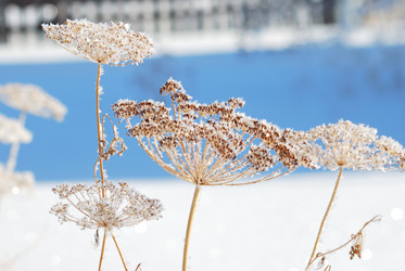 Similar image 21841738