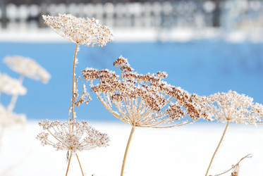 Similar image 21841739