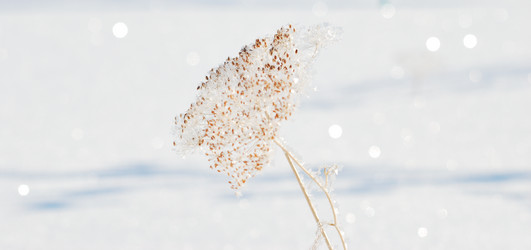 Similar image 21841741