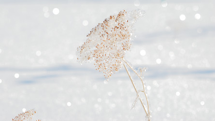 Similar image 21841743