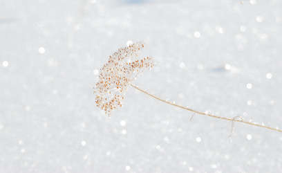 Similar image 21841744