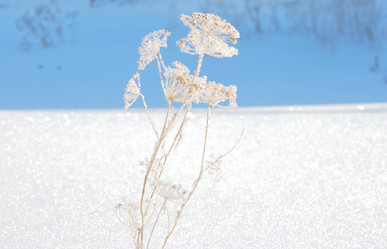 Similar image 21841745