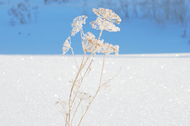 Similar image 21841746