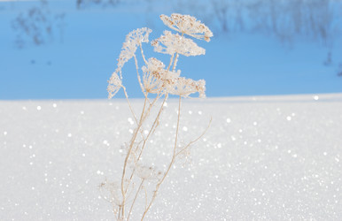 Similar image 21841747