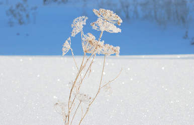 Similar image 21841748