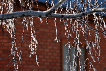 Similar image 21841750