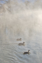 Similar image 21841756