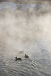 Similar image 21841758