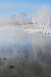 Similar image 21841760