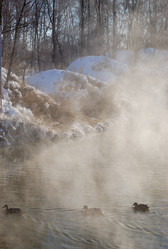 Similar image 21841761