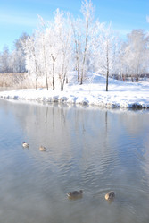 Similar image 21841762