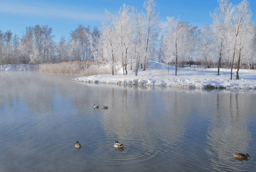 Similar image 21841763