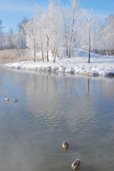 Similar image 21841764