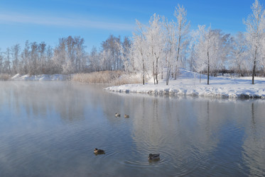 Similar image 21841765