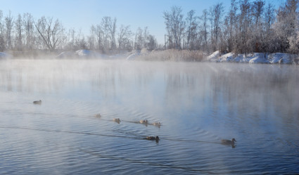 Similar image 21841766