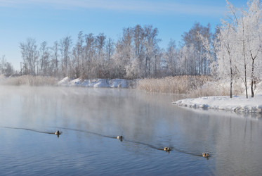 Similar image 21841767