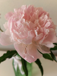 Similar image 21843394