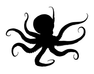 Similar image 21841989