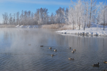 Similar image 21841995