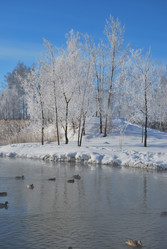 Similar image 21841996