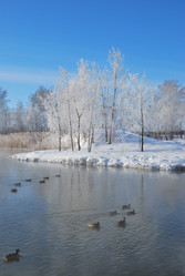 Similar image 21841997