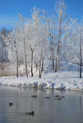 Similar image 21841998