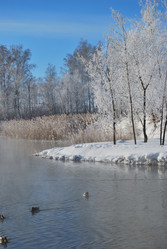 Similar image 21842000