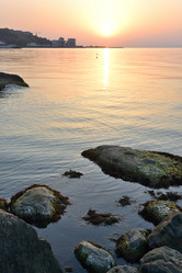 Similar image 21842002