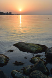 Similar image 21842003