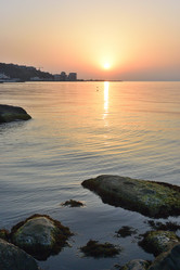 Similar image 21842004