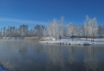 Similar image 21842006