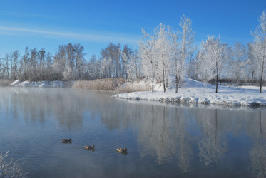 Similar image 21842008