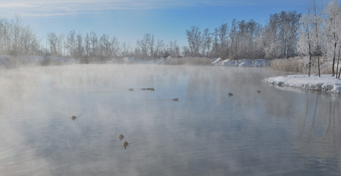 Similar image 21842010