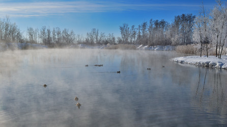 Similar image 21842011