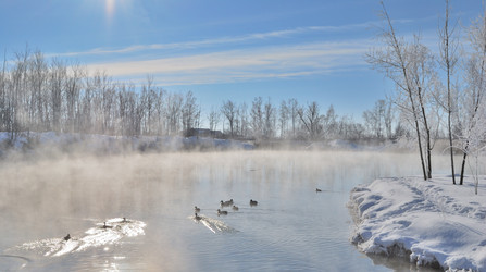 Similar image 21842014