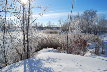 Similar image 21842019