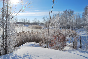 Similar image 21842025