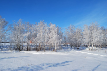 Similar image 21842026