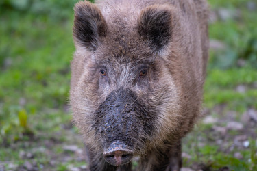 Similar image 21843405