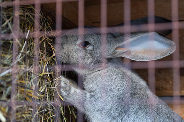 Similar image 21843406