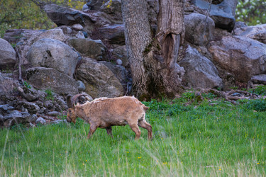 Similar image 21843407