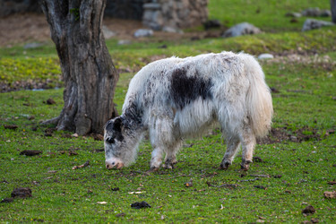 Similar image 21843409