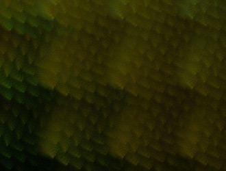 Similar image 21843772