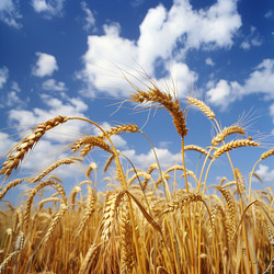 Similar image 21845686