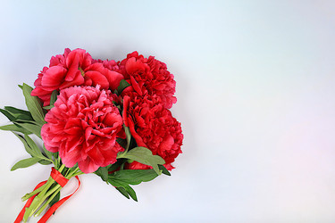 Similar image 21843793