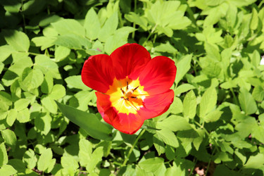 Similar image 21842063