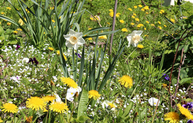 Similar image 21842064