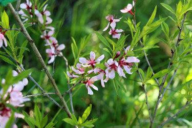 Similar image 21842066